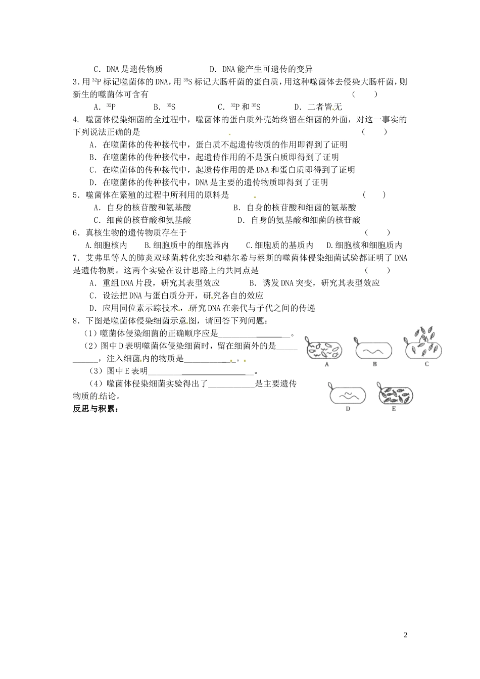 山东省德州市高中生物 DNA是主要的遗传物质（第二课时）学案 新人教版必修2_第2页