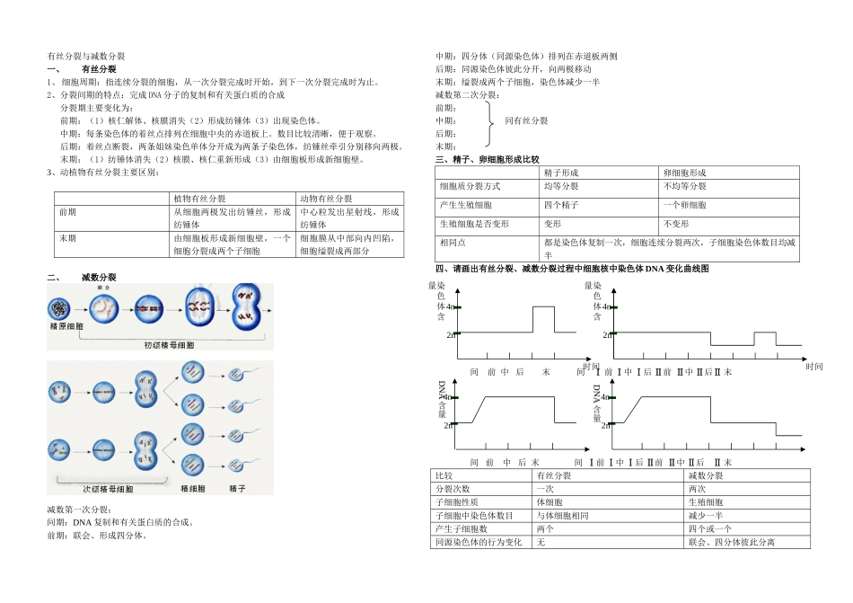 有丝分裂与减数分裂(教师版)_第1页