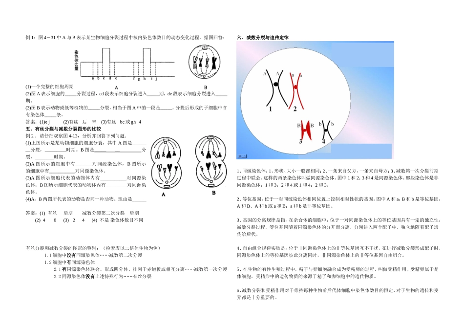 有丝分裂与减数分裂(教师版)_第2页