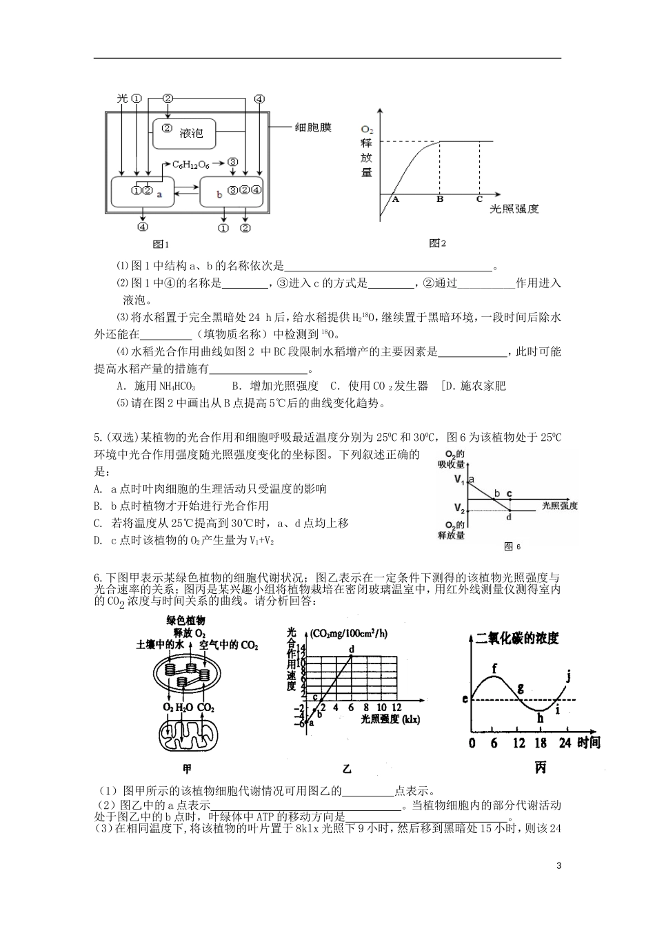 辽宁省海城市牛庄高级中学高三生物一轮复习 光合作用专题经典大题训练学案 _第3页