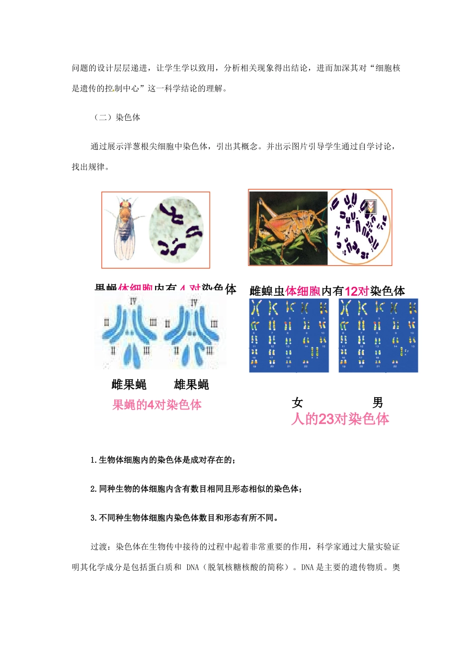 山东省东营市河口区实验学校2012-2013学年八年级生物下册《遗传的物质基础》教案 新人教版_第3页