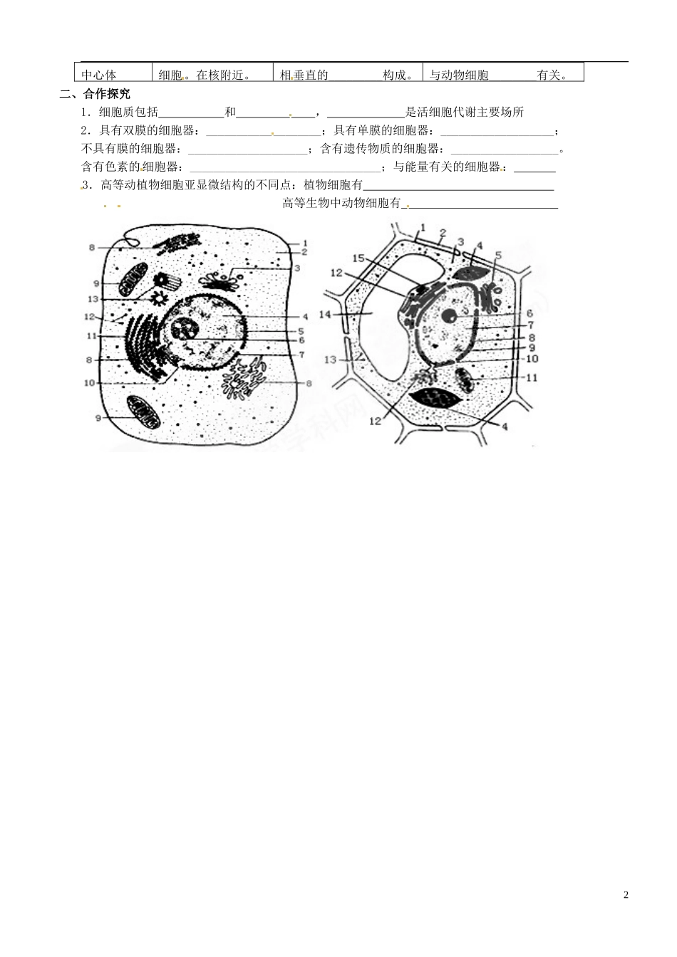 山东省金乡县第二中学高中生物生物 第三章第2节 细胞器 系统内分工合作学案1学案 新人教版必修1 _第2页