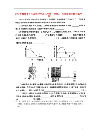 辽宁省海城市牛庄高级中学高三生物一轮复习 光合作用专题训练学案 