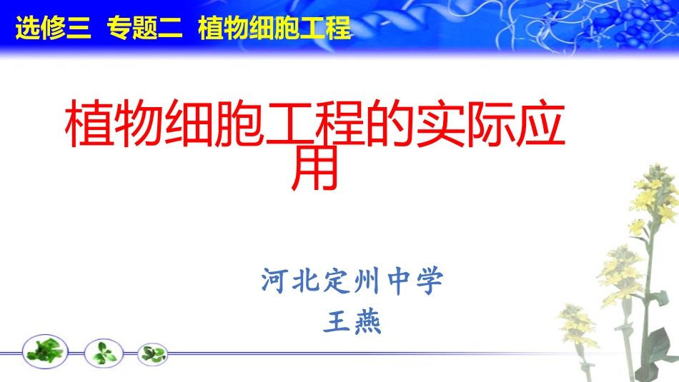 2.1.2-植物细胞工程的实际应用_第1页