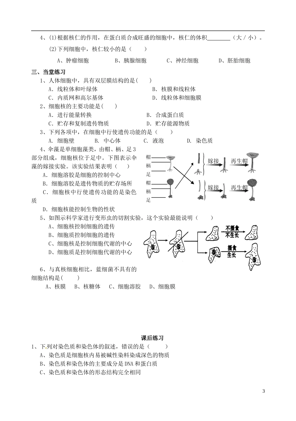 秋高一生物 第3章 第3节 细胞核-系统的控制中心学案-人教版高一全册生物学案_第3页