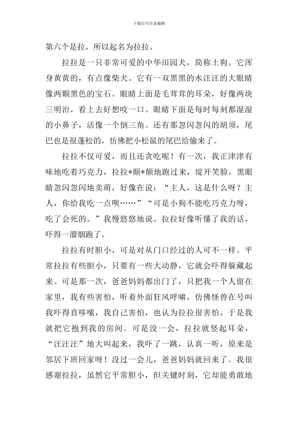 我的动物朋友400字四年级小狗_第3页