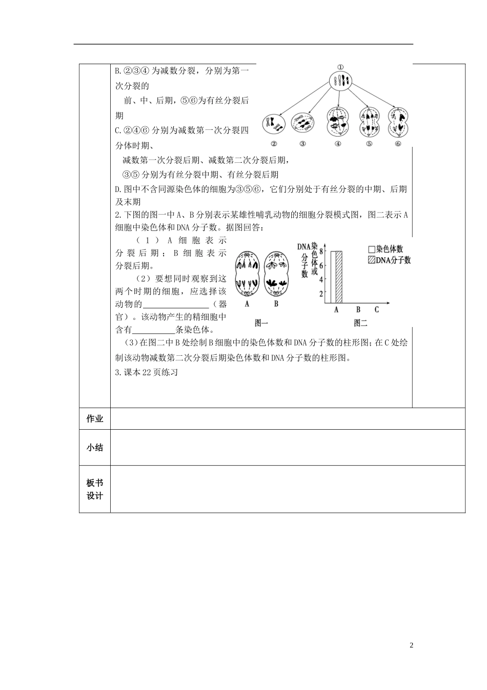 陕西省西安交大阳光中学高中生物 第2章 第1节 减数分裂（第2课时）学案 新人教版必修2_第2页