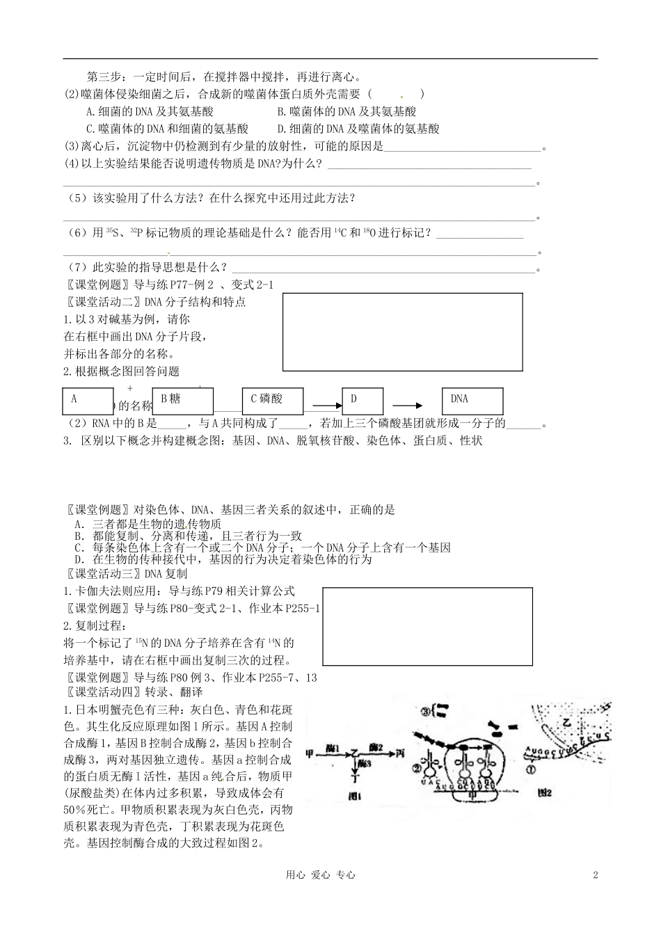 浙江省桐庐县富春高级中学高三生物一轮复习 遗传的分子基础学案_第2页