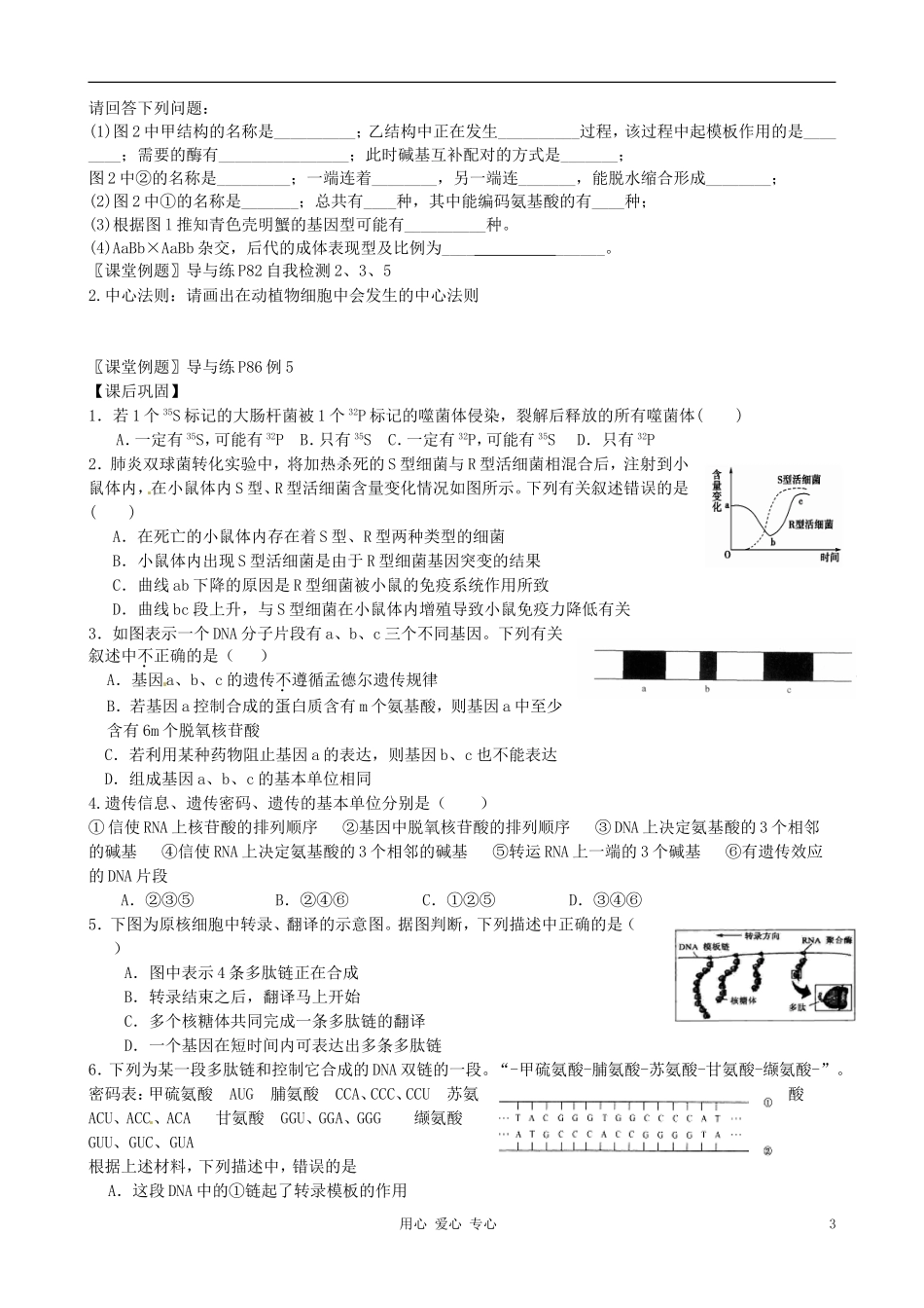 浙江省桐庐县富春高级中学高三生物一轮复习 遗传的分子基础学案_第3页