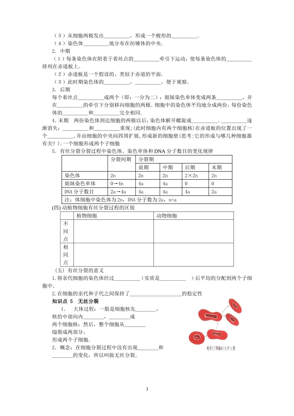 江苏省城北高级中学高一生物细胞的增殖教学案一 新课标 人教版_第3页