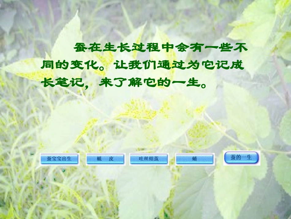 4养蚕经验交流会_第2页