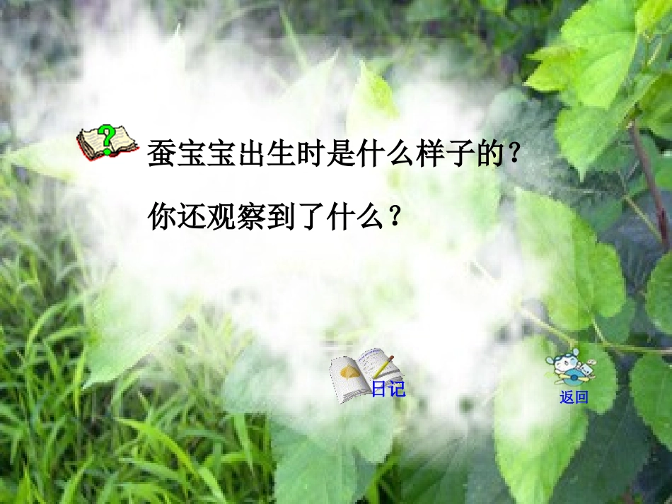 4养蚕经验交流会_第3页