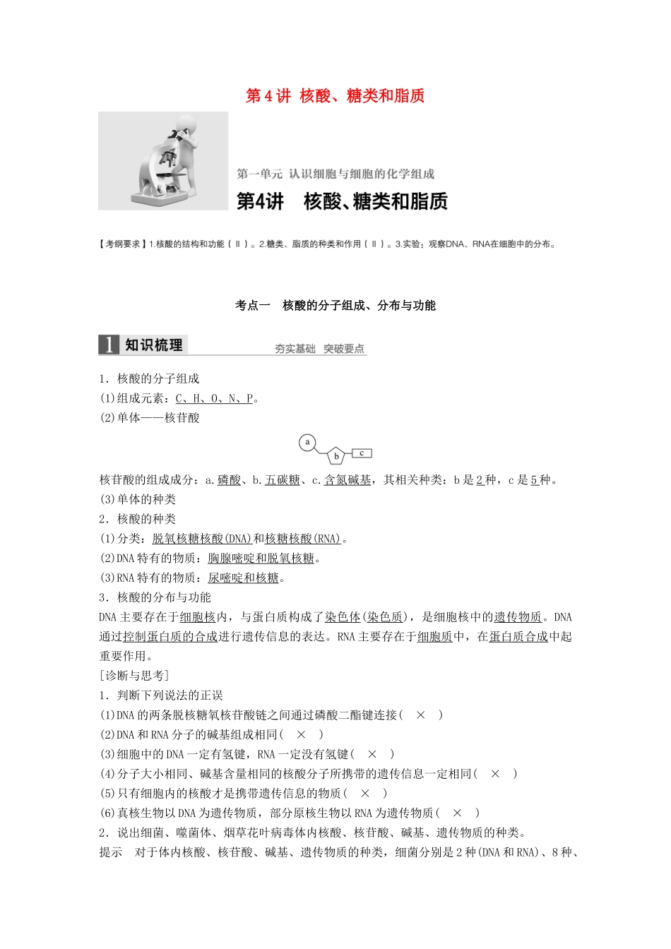 新高考生物一轮复习 第一单元 认识细胞与细胞的化学组成 第4讲 核酸、糖类和脂质学案（含解析）北师大版-北师大版高三全册生物学案_第1页