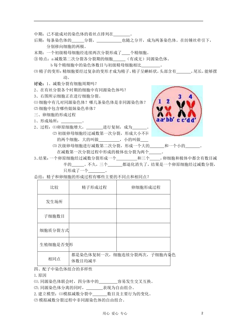 睢县回族高级中学高中生物《遗传与变异》4第二章 第一节 减数分裂和受精作用（第一课时）导学案 必修2_第2页