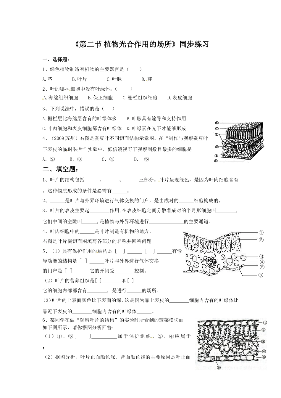 《第二节-植物光合作用的场所》同步练习3_第1页