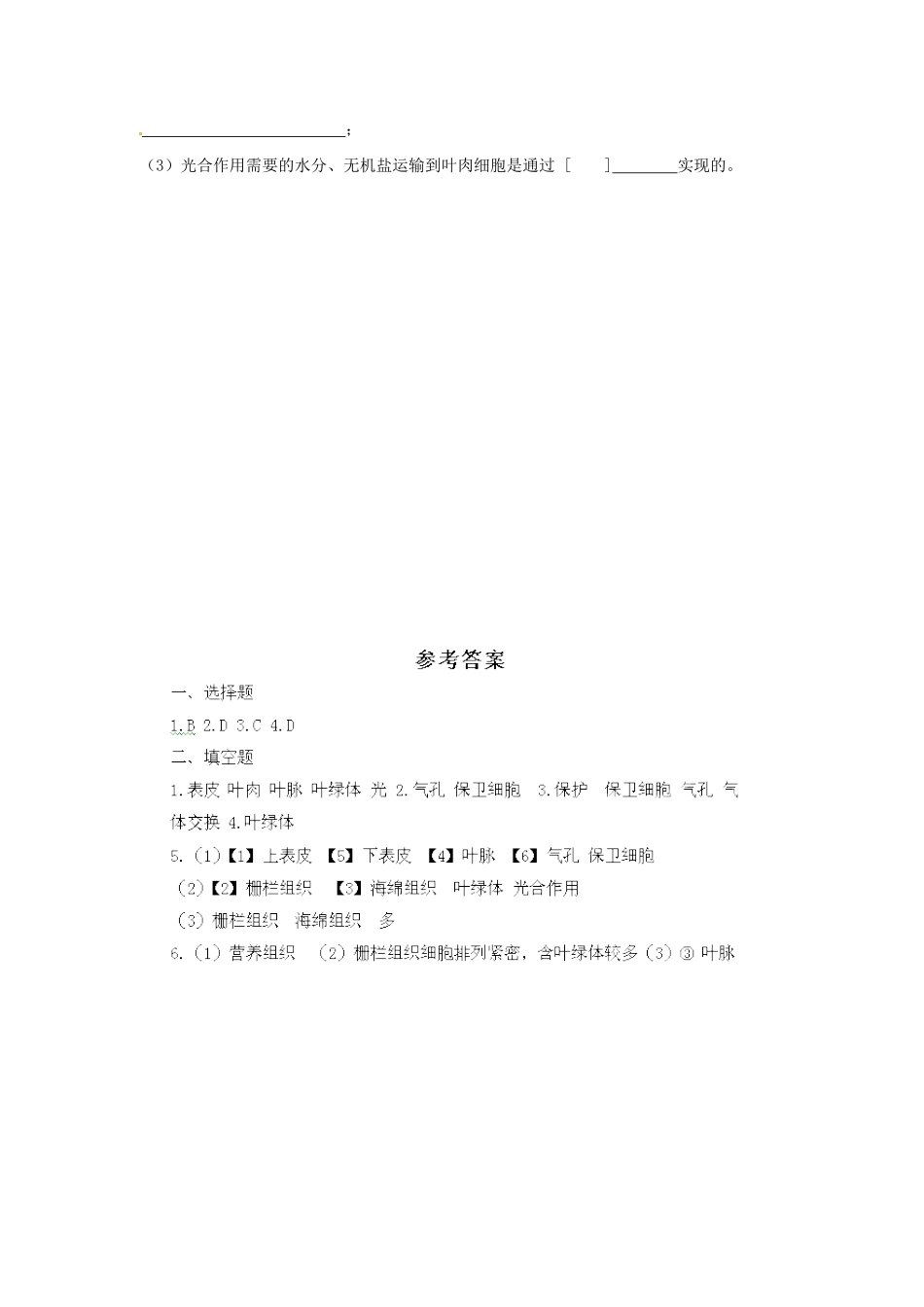 《第二节-植物光合作用的场所》同步练习3_第2页