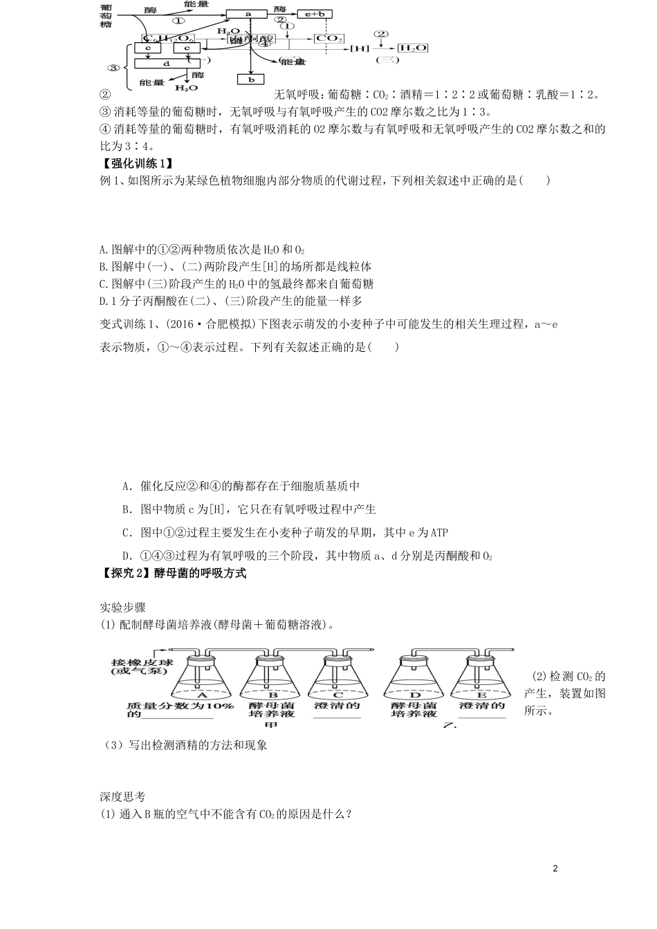 山东省日照市高三生物一轮复习 细胞呼吸（第一课时）学案-人教版高三全册生物学案_第2页