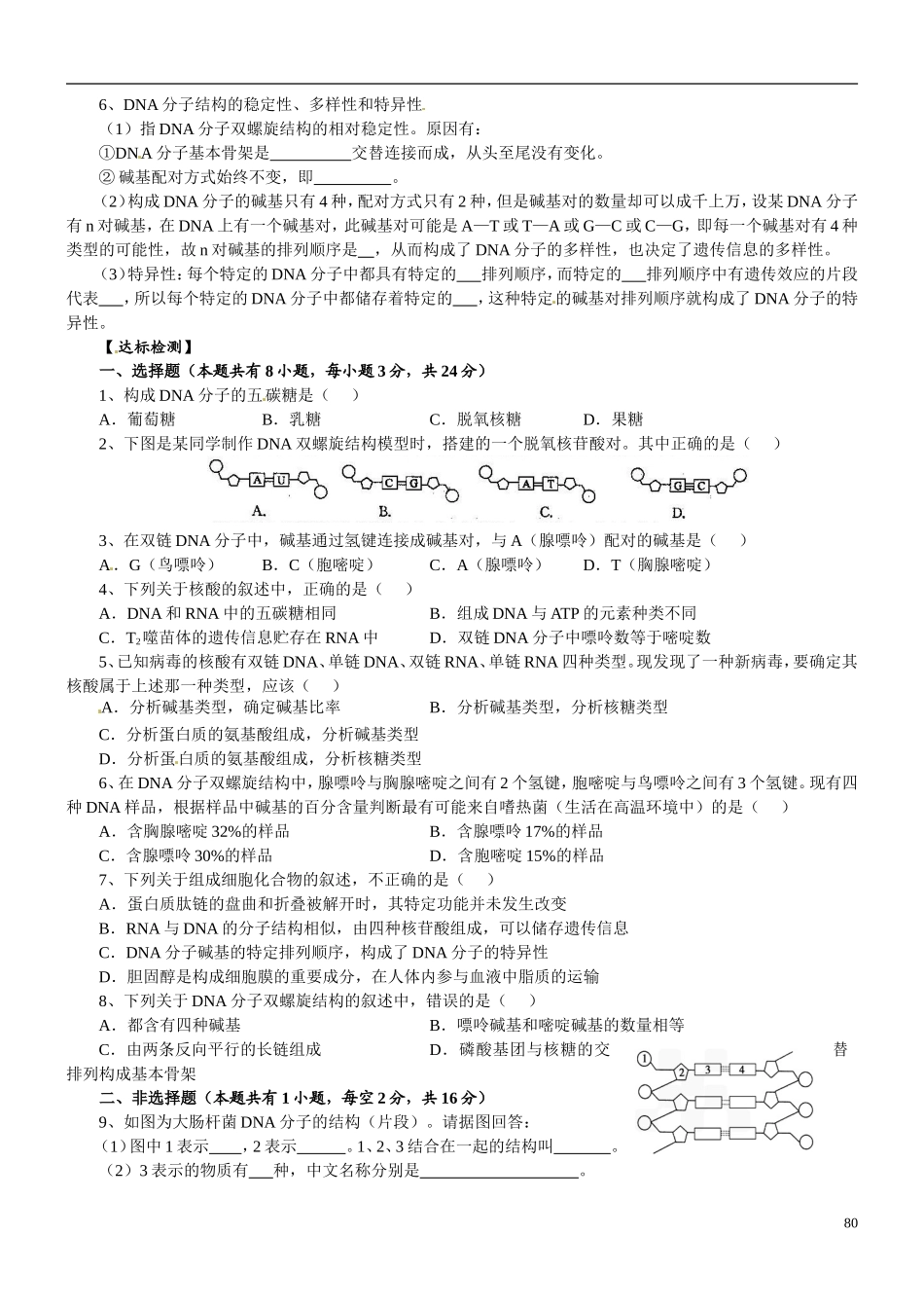 浙江省临海市白云高级中学高中生物 DNA的分子结构和特点导学案 新人教版必修2_第2页