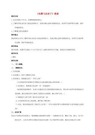 四年级语文上册  朱鹮飞回来了 2教案 人教版