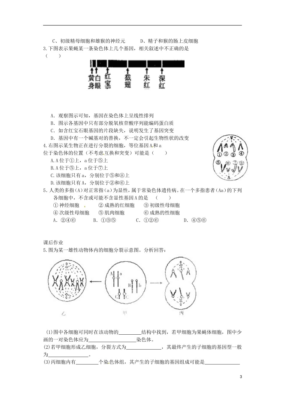 陕西省咸阳市泾阳县云阳中学高中生物 2.2 基因在染色体上导学案 新人教版必修2 _第3页
