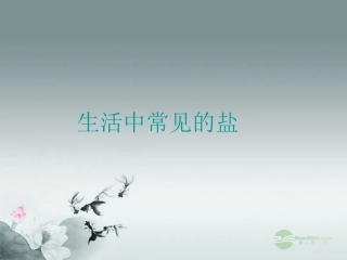 江苏省无锡市滨湖中学九年级化学下册《第十一单元 盐、化肥》课题1 生活中常见的盐课件2 新人教版