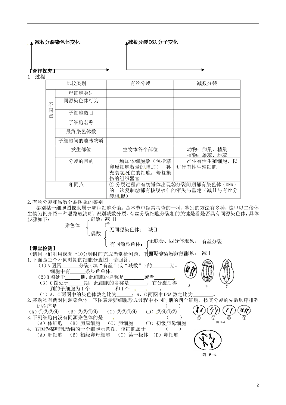 江苏省徐州市王杰中学高一生物 2.1减数分裂第三课时学案 新人教版_第2页