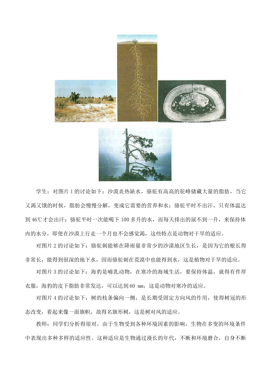 七年级生物生物对环境的适应和影响新人教版_第3页