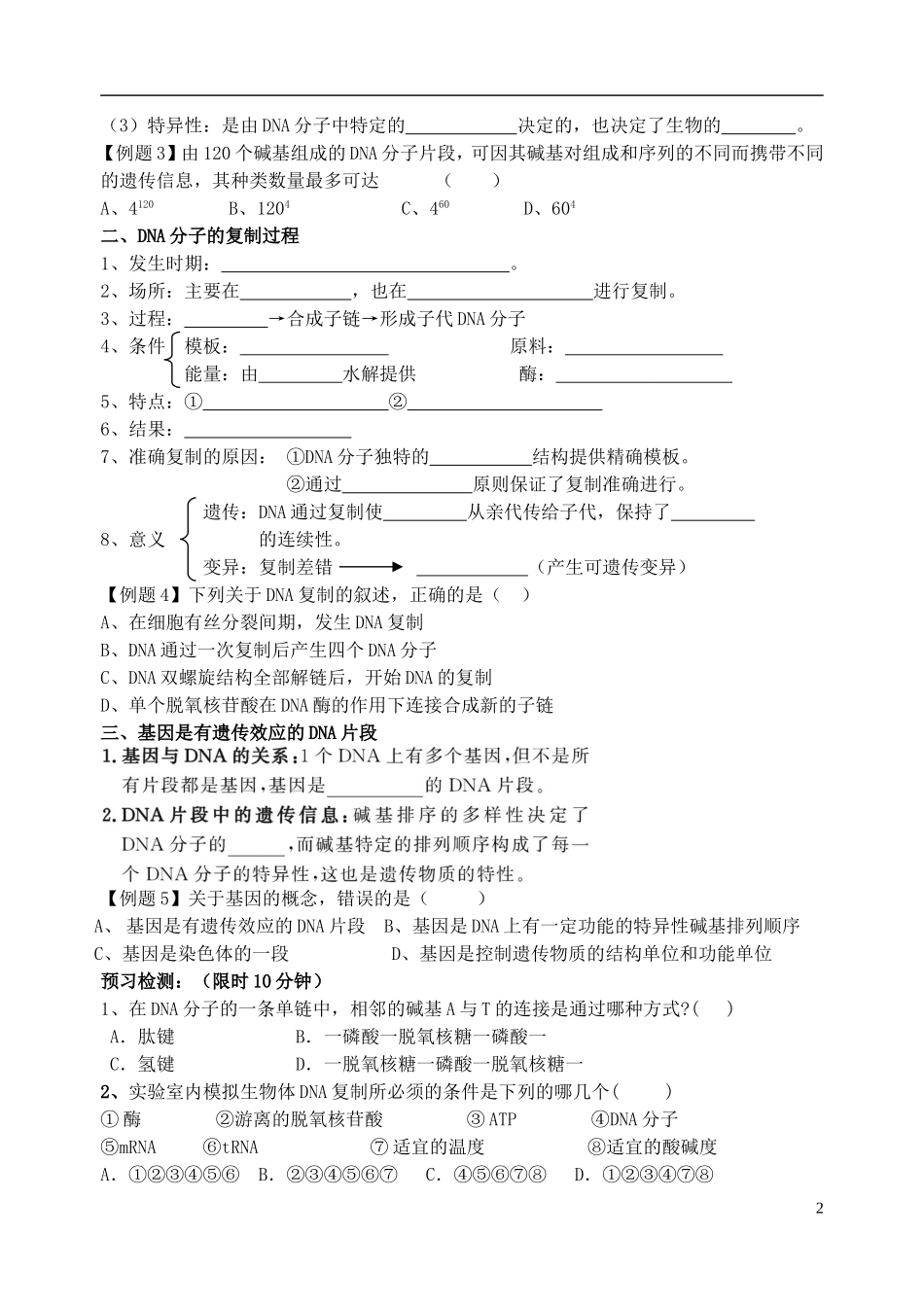 山东省临沭第二中学高考生物 DNA分子的结构、复制及基因的本质导学案_第2页
