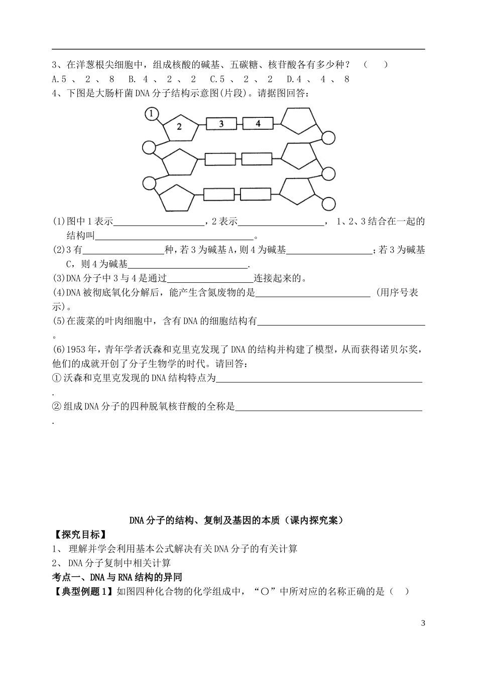 山东省临沭第二中学高考生物 DNA分子的结构、复制及基因的本质导学案_第3页