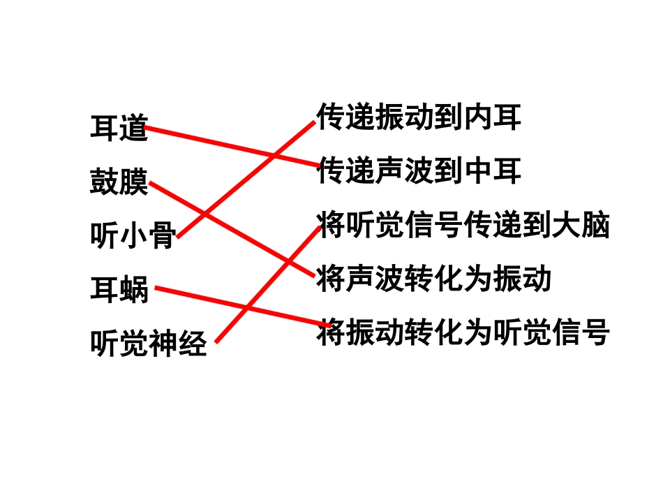 我们是怎样听到声音的_第3页