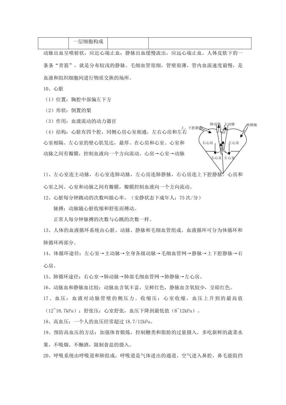 七年级生物下：第10章人体内的物质运输和能量供给复习教案苏教版_第3页