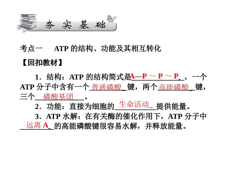 第2、3节-细胞的能量“通货”——ATP细胞呼吸(1)_第3页