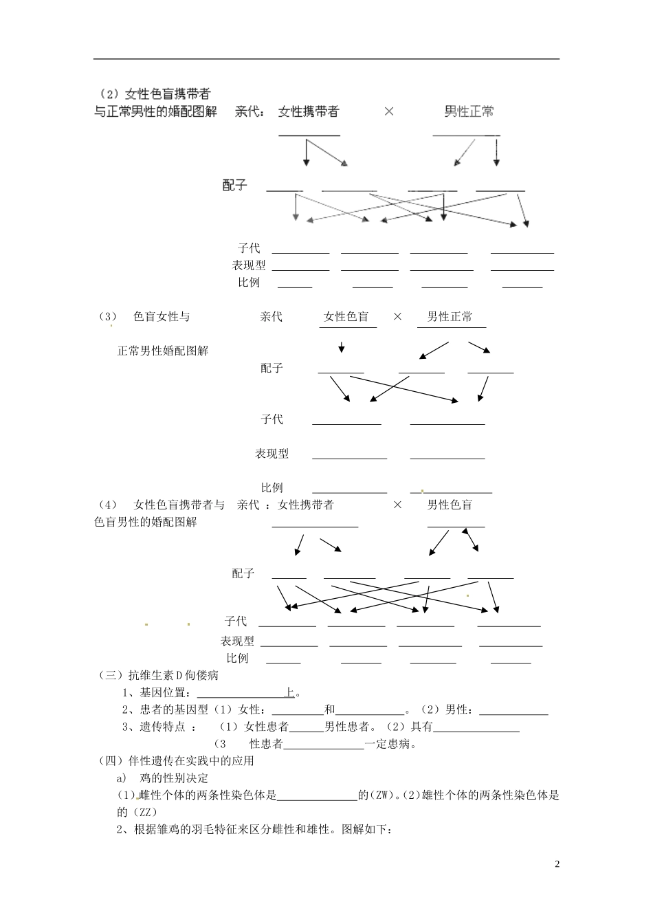 陕西省咸阳市泾阳县云阳中学高中生物 2.3 伴性遗传导学案 新人教版必修2 _第2页