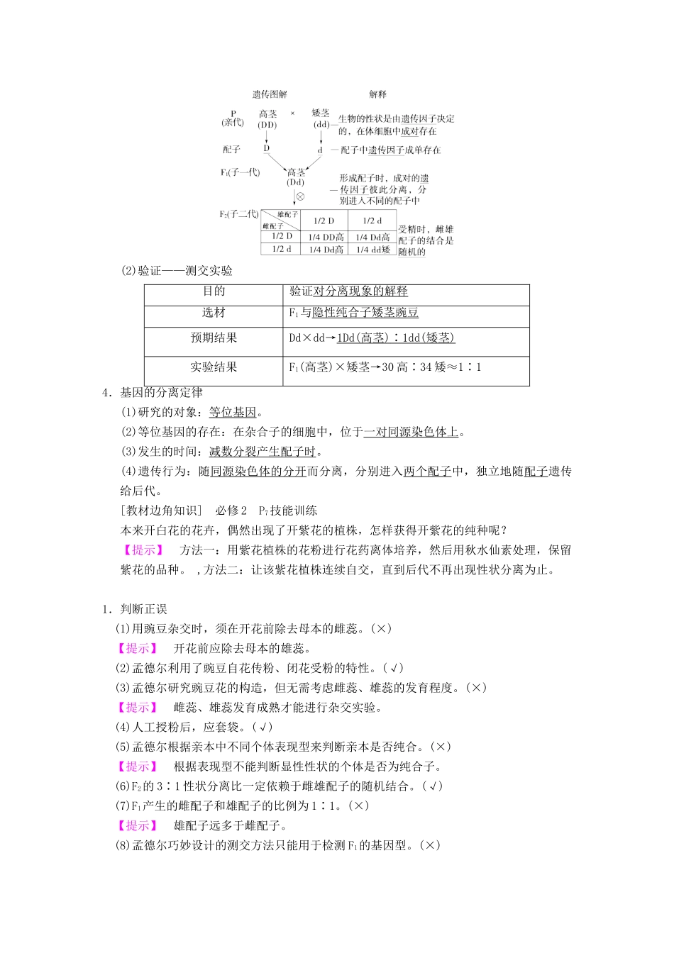 山东省高考生物 第5单元 遗传定律和伴性遗传（1）孟德尔的豌豆杂交实验（一）导学案（含解析）新人教版必修2-新人教版高三必修2生物学案_第2页
