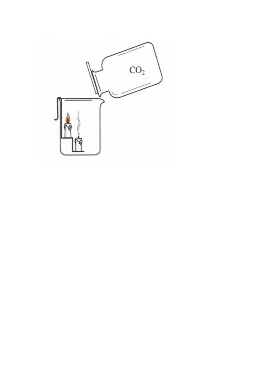 九年级化学 二氧化碳的性质教案 鲁教版_第2页