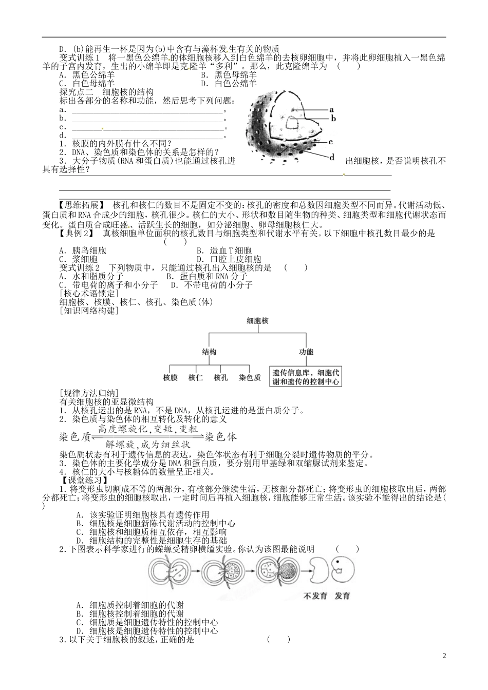 山东省平邑县曾子学校高中生物 第3章第3节 细胞核 系统的控制中心学案 新人教版必修1_第2页