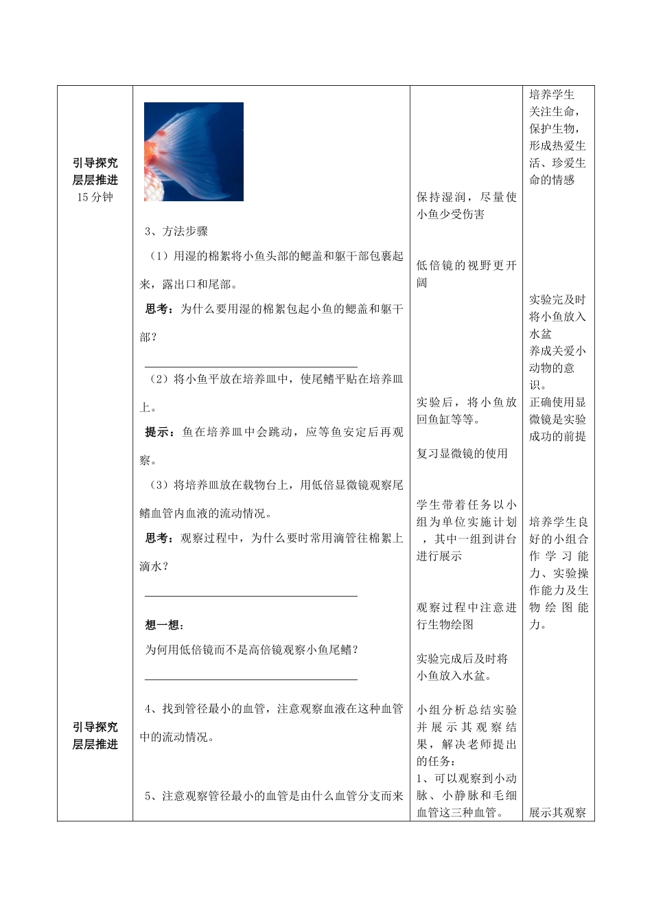 山东省滕州洪绪中学2014-2015七年级生物下册 第三章 第二节 物质运输的器官优秀教案 （新版）济南版_第3页