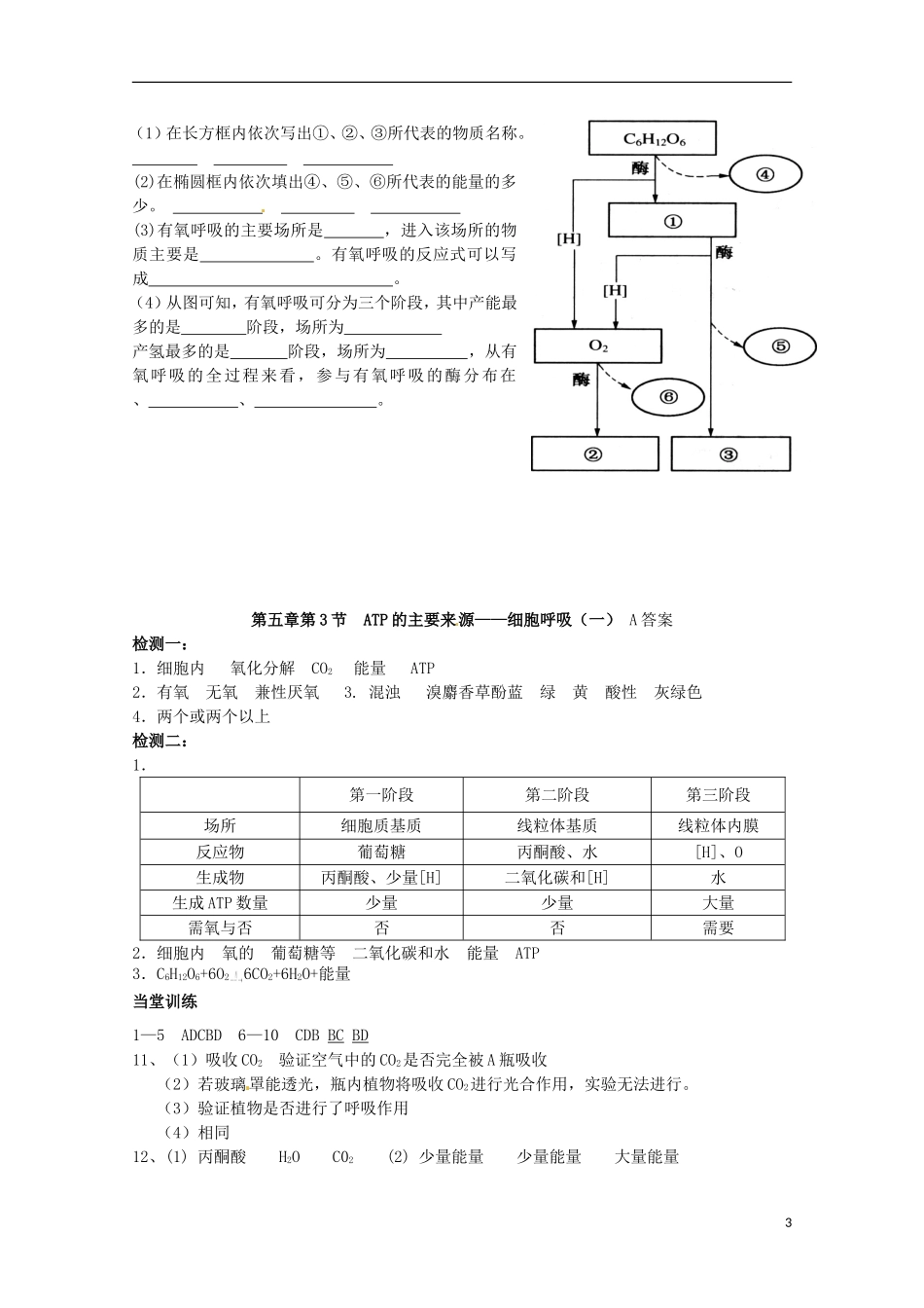 山东省淄博市高青县第三中学2103级高中生物 ATP的主要来源 细胞呼吸（一）导学案 新人教版必修1_第3页