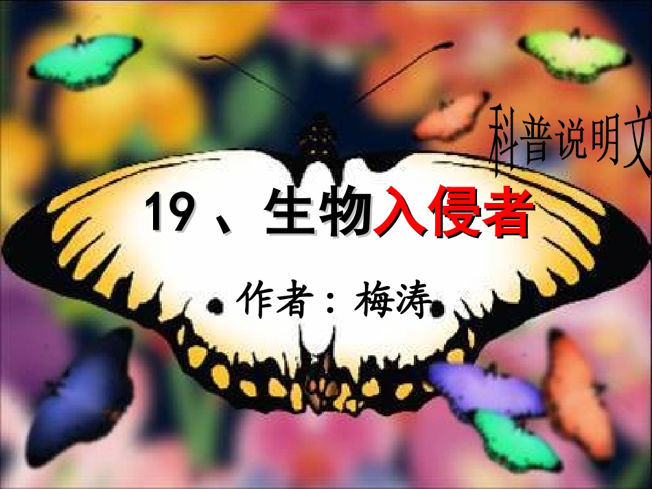 范桂侠市优质课课件_第2页