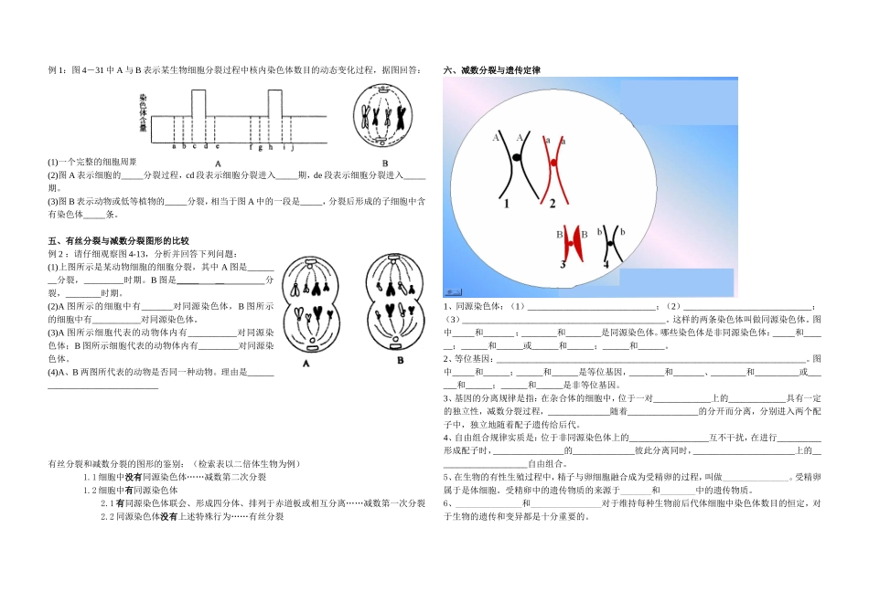 有丝分裂与减数分裂(学生版)_第2页