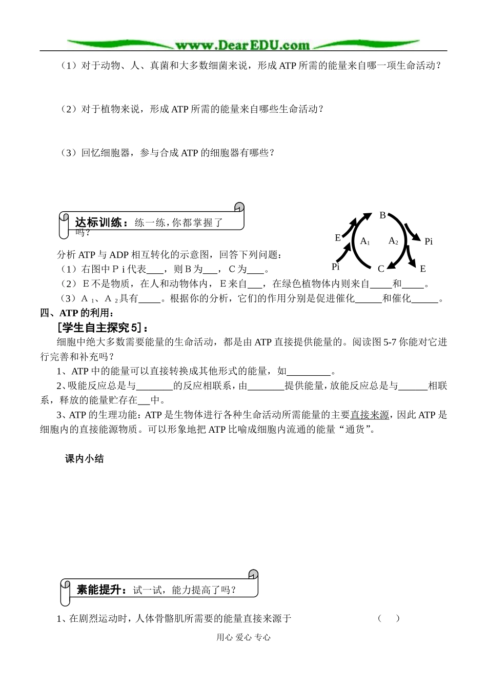细胞的能量“通货”——ATP（李凤）_第3页