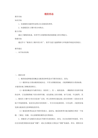 七年级生物《根的形态》教案