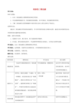 九年级化学 2.3 奇妙的二氧化碳教案2 沪教版