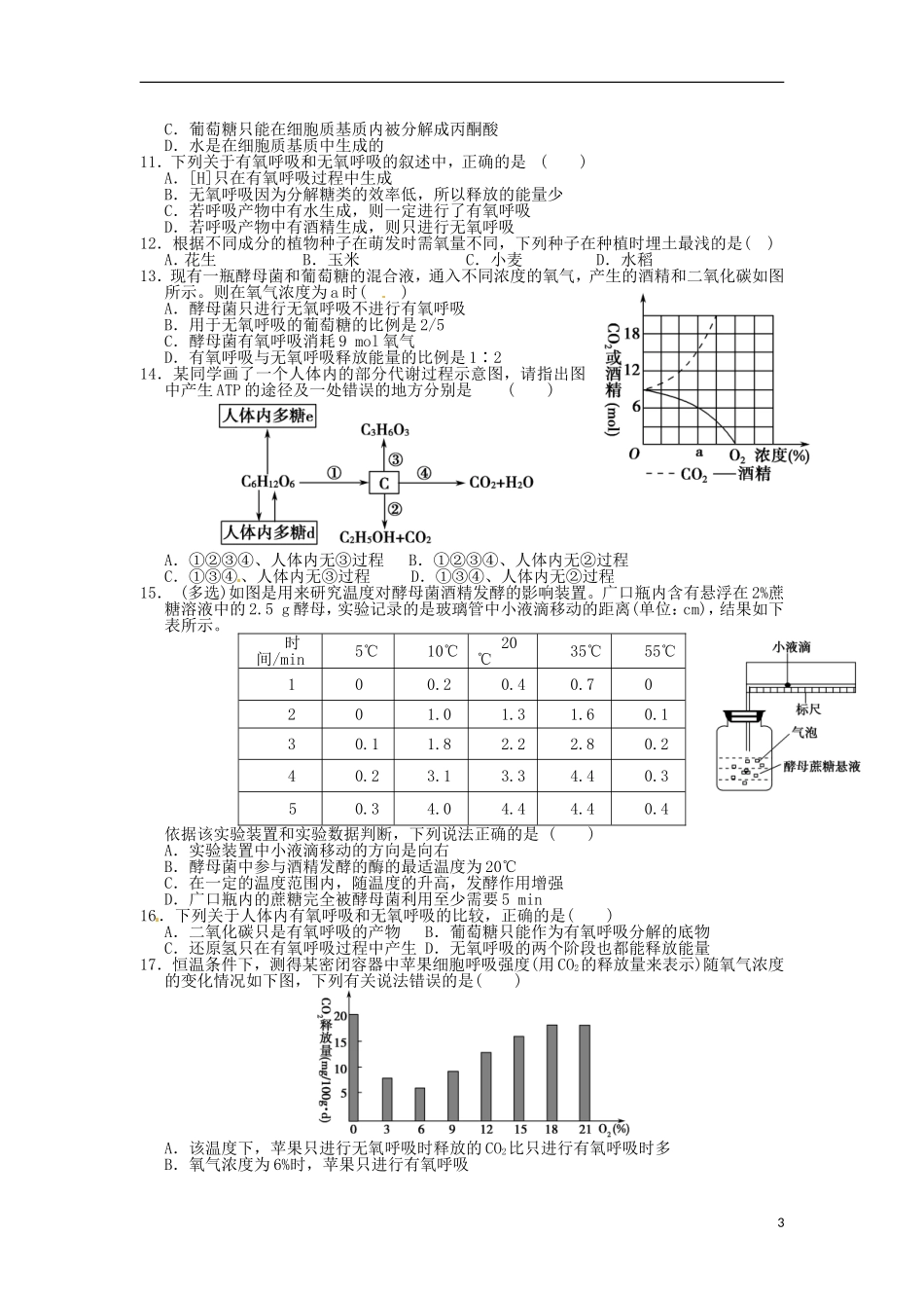 山东省德州市高中生物《5.3 ATP的主要来源》学案 新人教版必修1_第3页