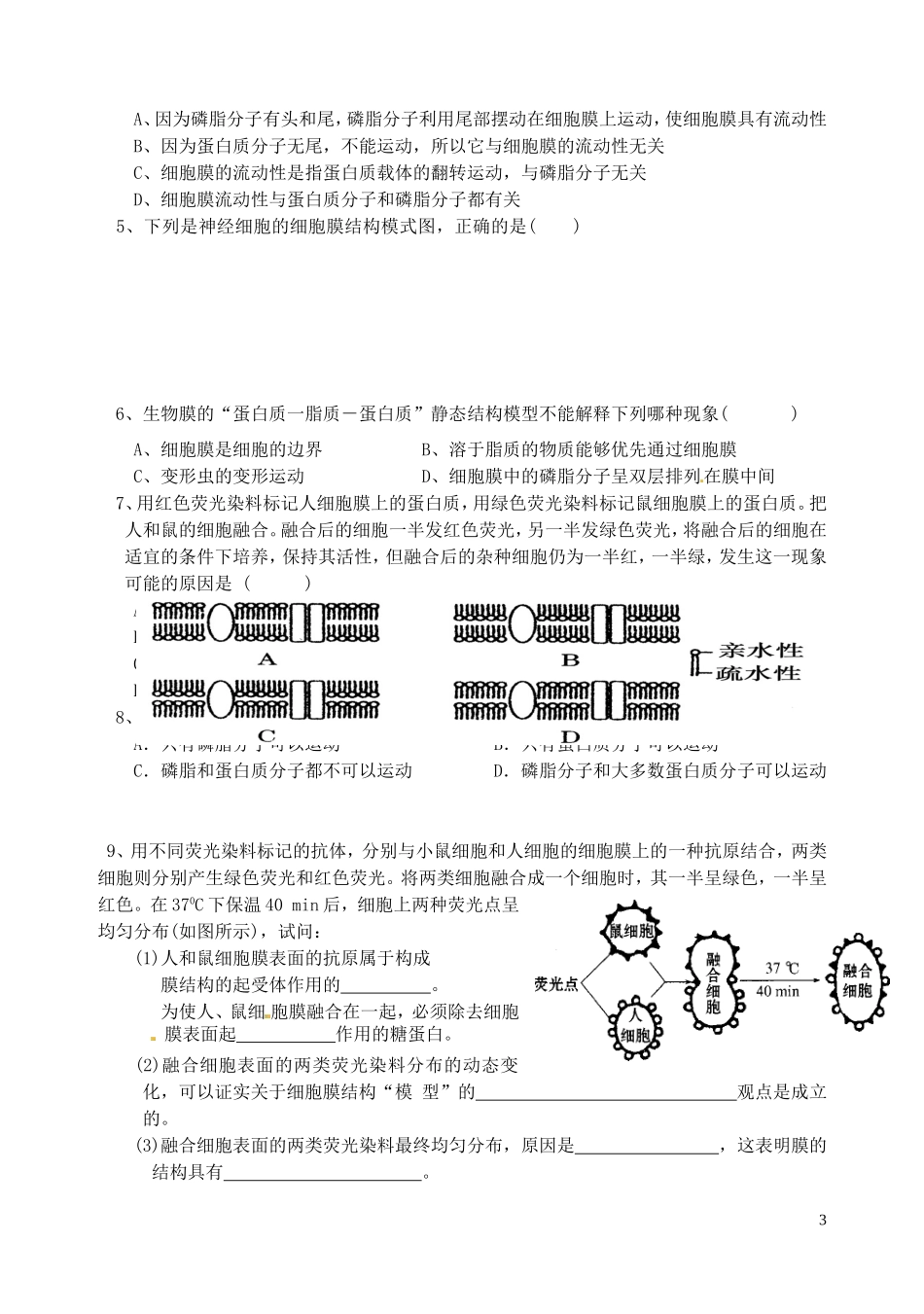 秋高一生物 第4章 第2节 生物膜的流动镶嵌模型学案-人教版高一全册生物学案_第3页