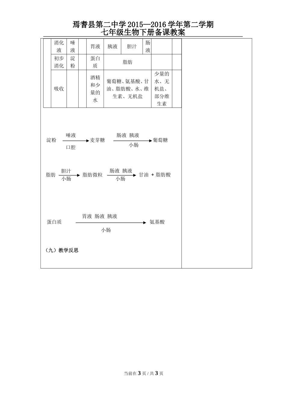 第二节--消化和吸收1_第3页