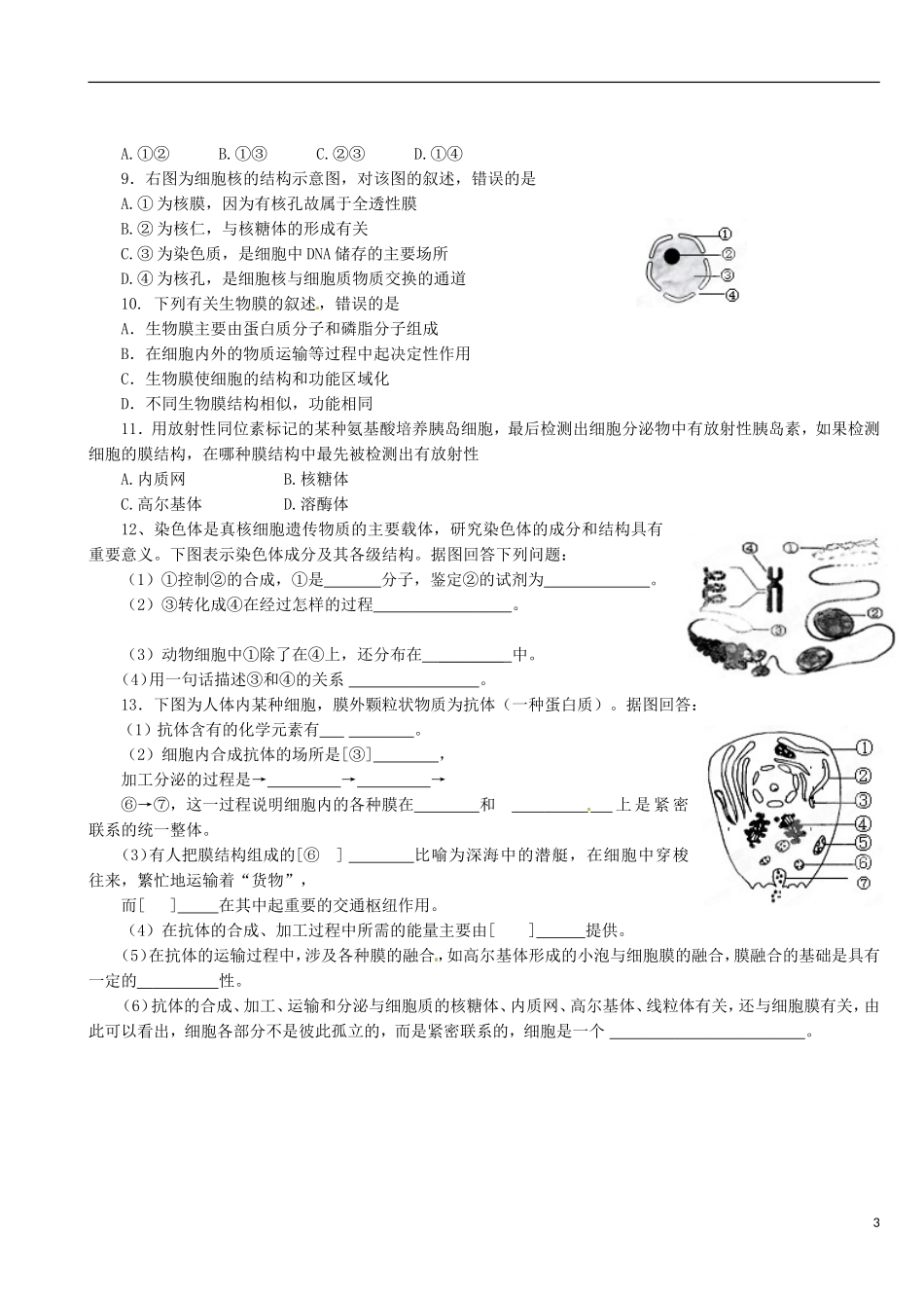 陕西省澄城县寺前中学高一生物《3．2细胞的类型和结构》学案第3课时 苏教版_第3页