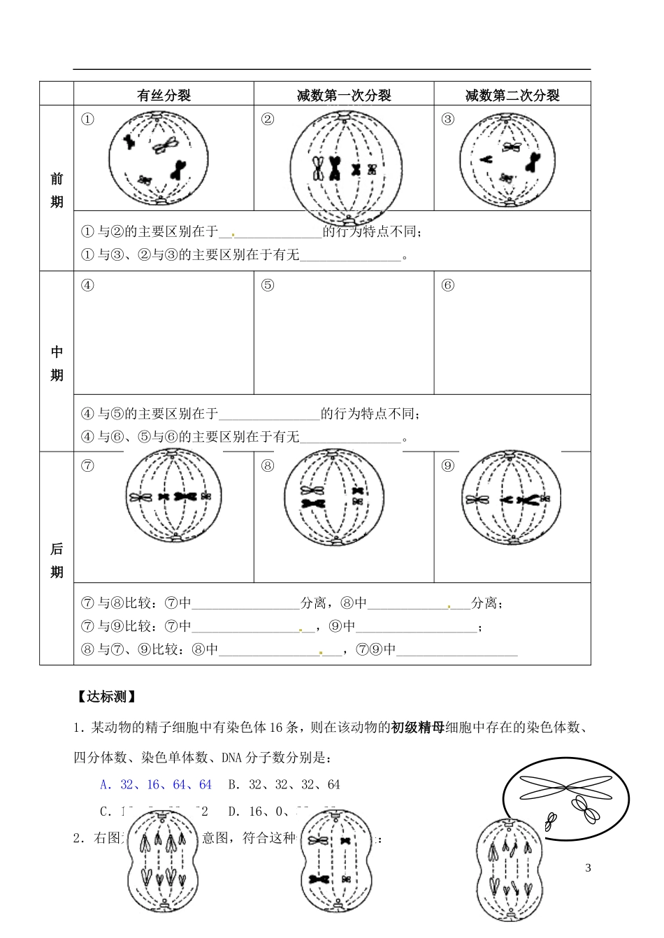 山西省临汾市清华园中学高中生物 减数分裂导学案2 新人教版必修2_第3页