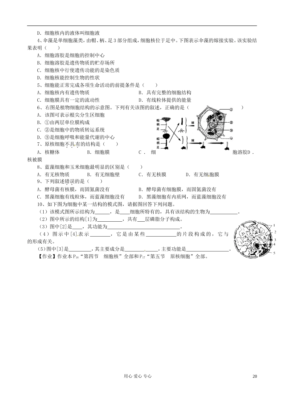 浙江省临海市白云高级中学高二生物《细胞核与原核细胞》导学案_第2页