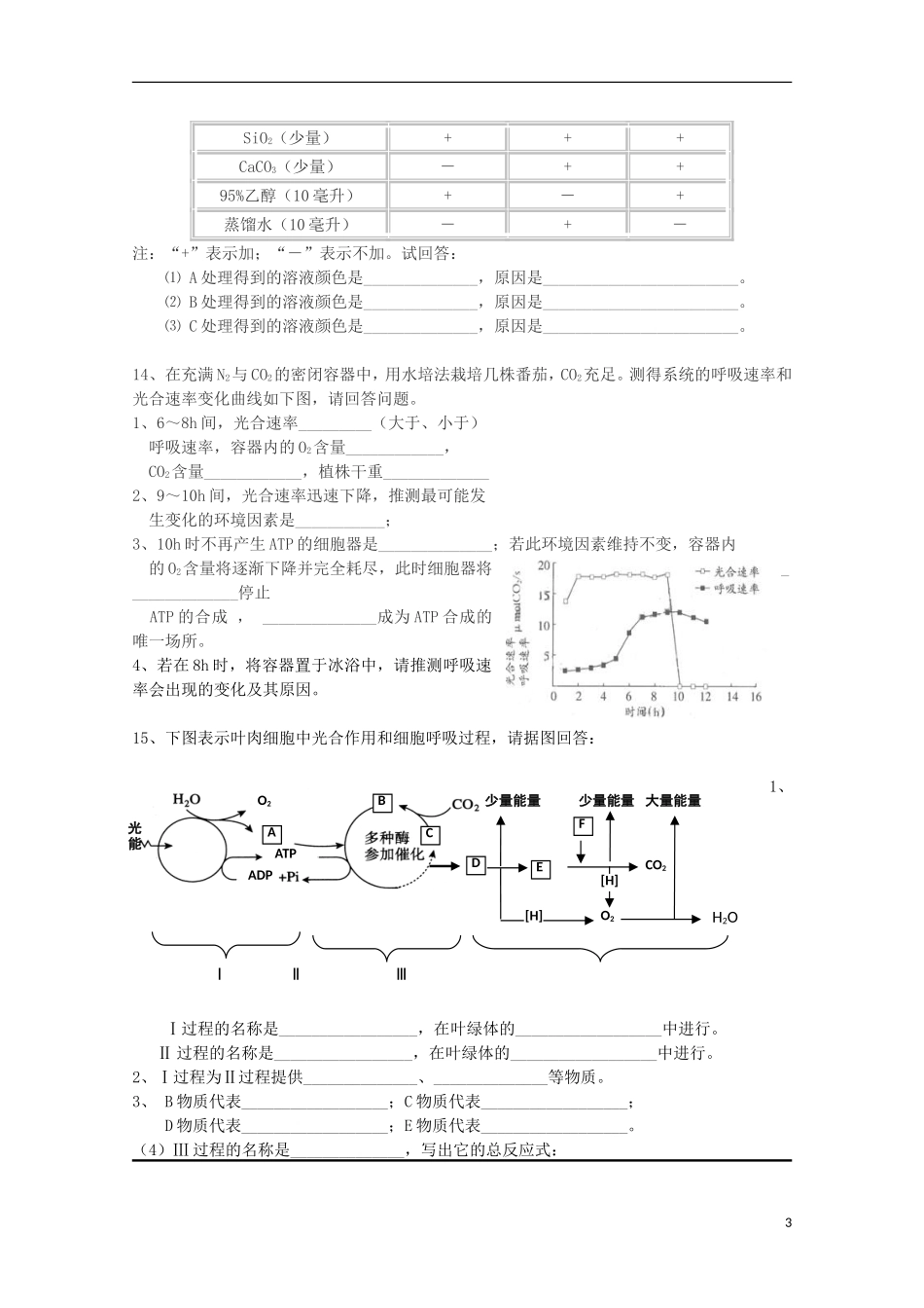 辽宁省海城市牛庄高级中学高三生物一轮复习 光合作用基础训练题学案_第3页